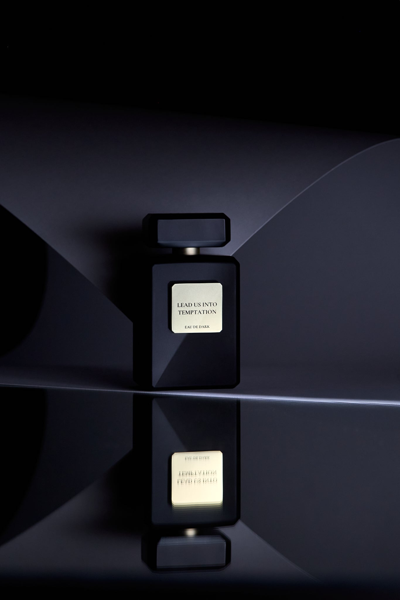 LEAD US INTO TEMPTATION