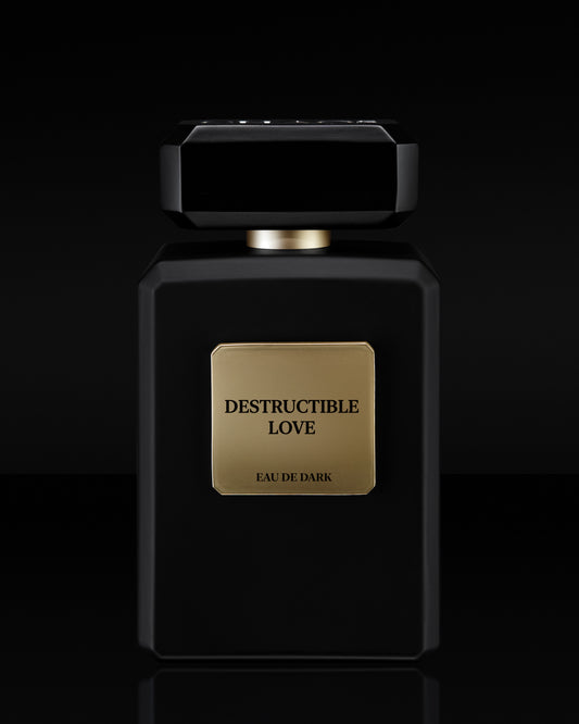 DESTRUCTIBLE LOVE
